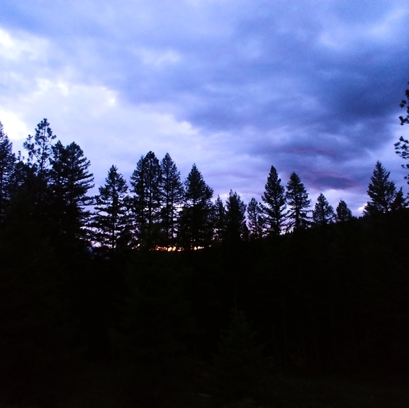 Closet Closing- OFFERS WELCOME - 20% GOES TO POSH ! SELLING CLOSET 📌 - Picture 9 of 16